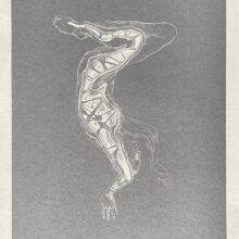 Odd Seed N11 - Veta Gorner Odd Seed N11 - Veta Gorner