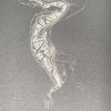 Veta Gorner - Odd Seed N11 Veta Gorner - Odd Seed N11