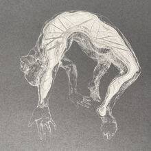 Veta Gorner – Odd Seed N12 Veta Gorner - Odd Seed N12