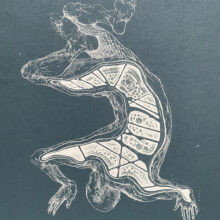 Veta Gorner - Odd Seed N2 Veta Gorner - Odd Seed N2