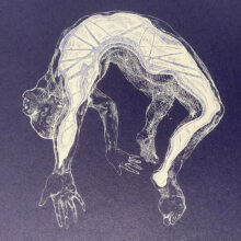 Veta Gorner - Odd Seed N4