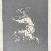 Odd Seed N5 - Veta Gorner Odd Seed N5 - Veta Gorner