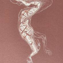 Veta Gorner - Odd Seed N6