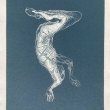 Veta Gorner – Odd Seed N8 Veta Gorner - Odd Seed N8